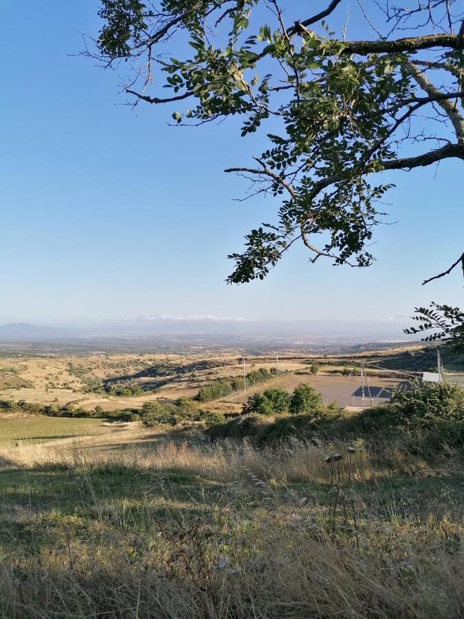 Deiana Bed & Breakfast Санту Лусурджу Екстериор снимка